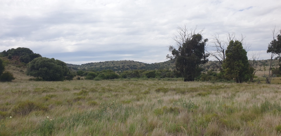 Commercial Property for Sale in Bloemfontein Rural Free State